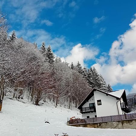 Casa Valea Prejbei Βίλα Rau Sadului Εξωτερικό φωτογραφία
