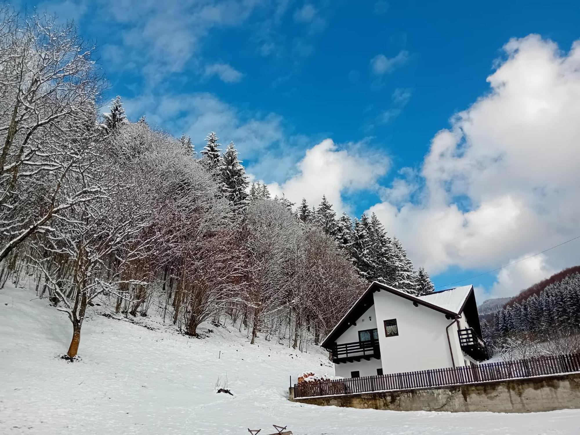 Casa Valea Prejbei Βίλα Rau Sadului Εξωτερικό φωτογραφία